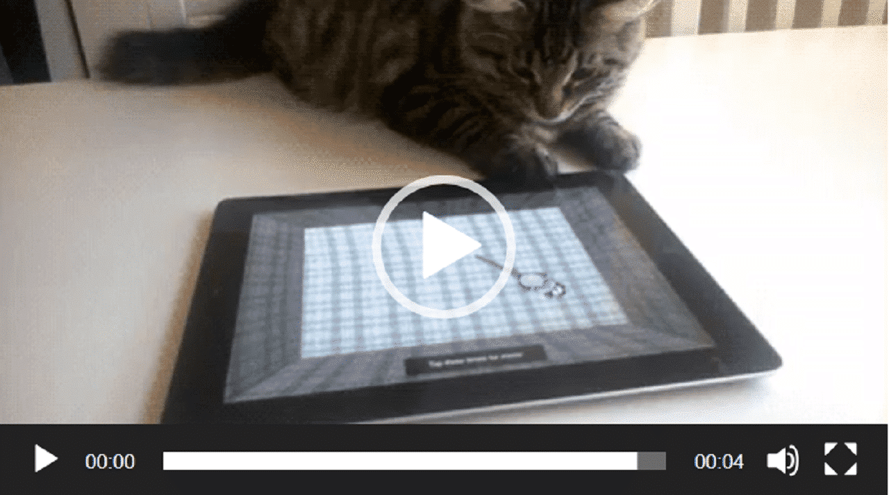 Il joue à attraper une souris sur l'écran d'un iPad