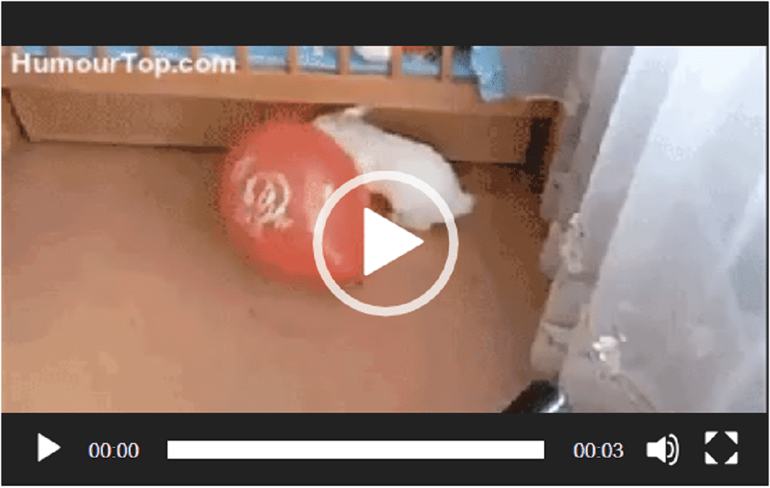 Un lapin qui a eu la peur de sa vie en éclatant un ballon de baudruche