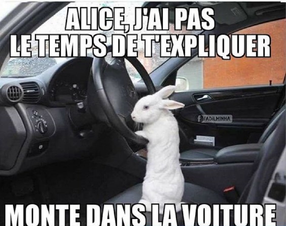 Alice, j'ai pas le temps de t'expliquer monte dans la voiture