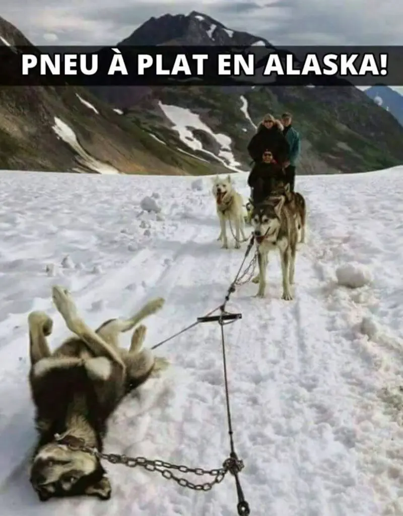 Pneu à plat en Alaska