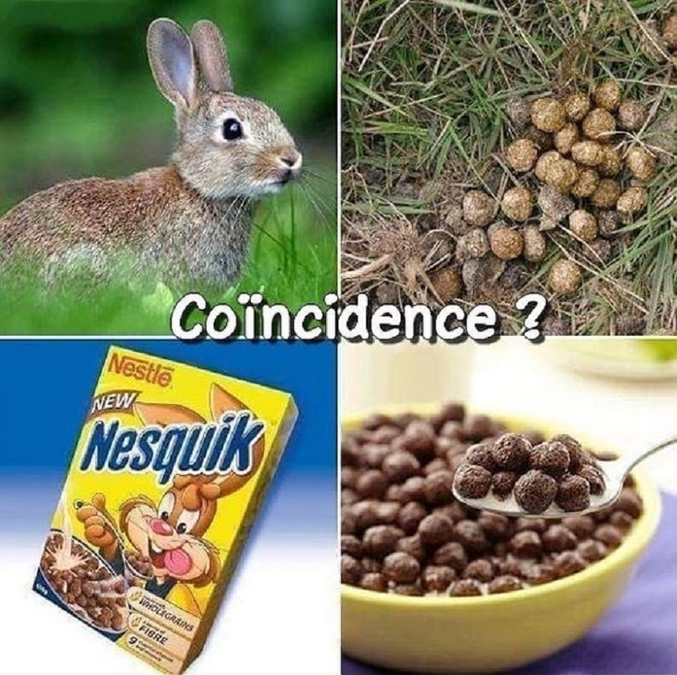 Coïncidence ?