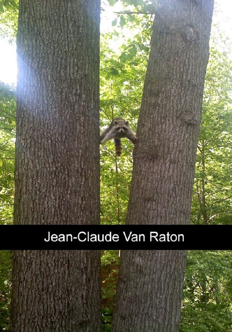 Jean-Claude Van Raton