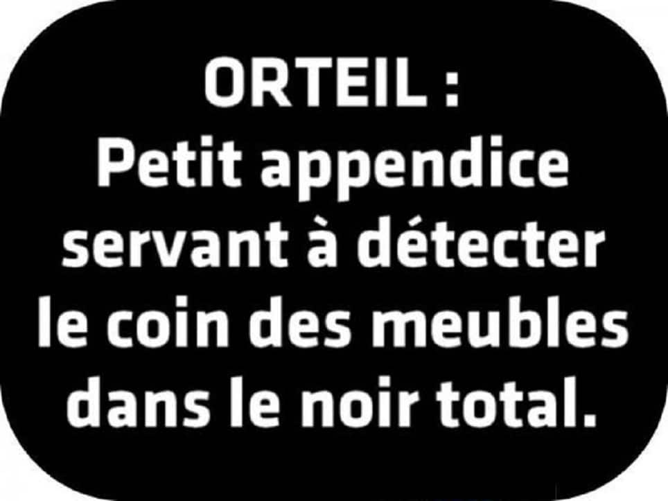 ORTEIL: Petit appendice...