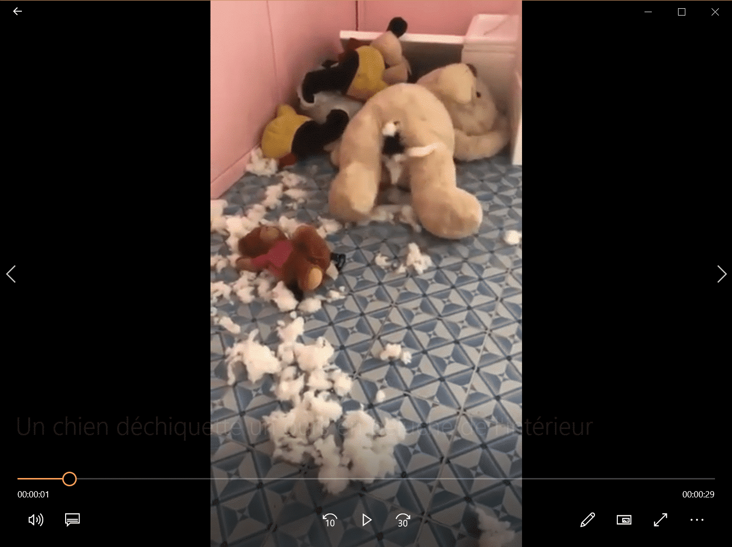 Un chien déchiquette un ours en peluche de l'intérieur