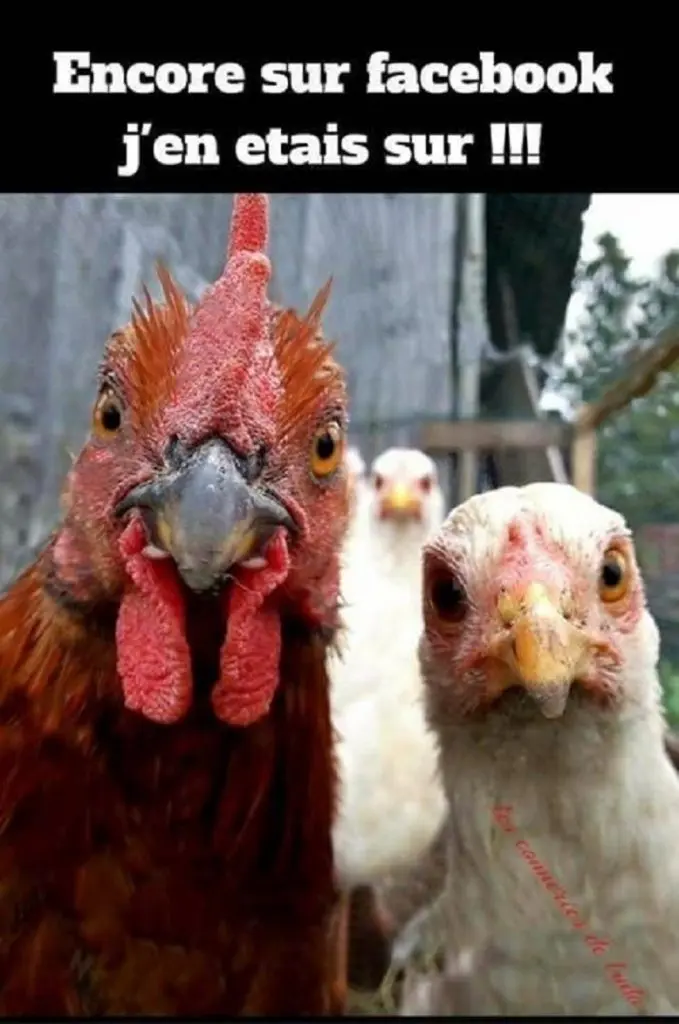 Encore sur Facebook j'en étais sur
