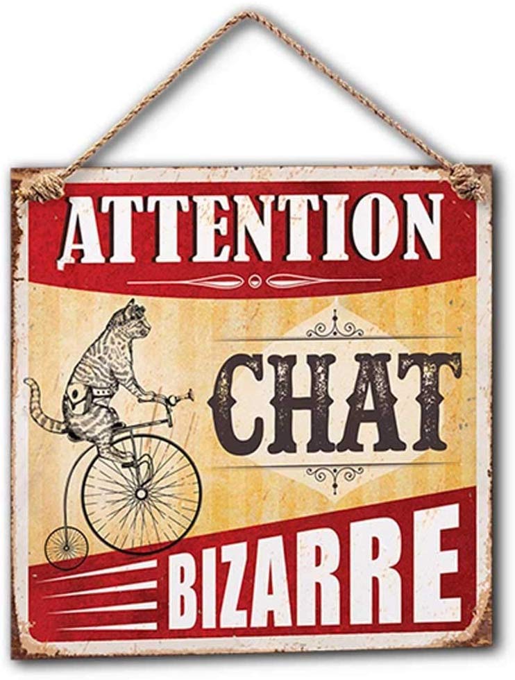 Plaque Décorative en Métal 20x20 cm – Attention Chat Bizarre