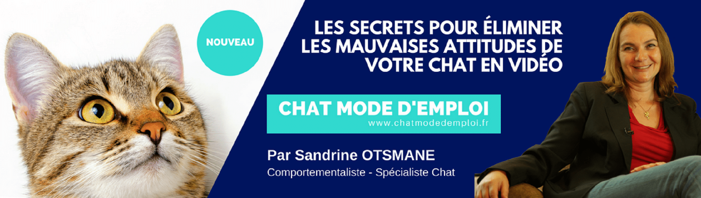 Chat Mode D Emploi Methode D Education En Video Humour France Fr Chat Mode D Emploi Methode D Education En Video Humour France Fr