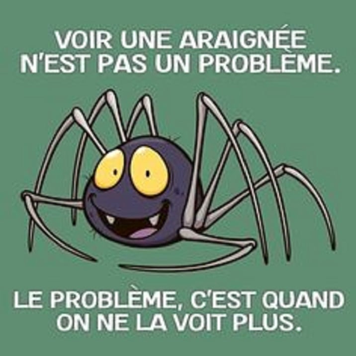 Voir une araignée n'est pas un problème.