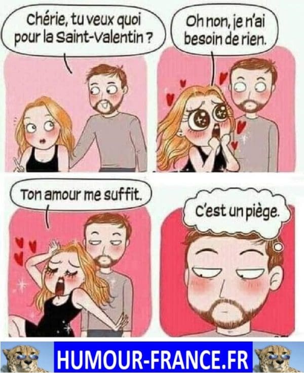 Chérie Tu Veux Quoi Pour La Saint Valentin Humour Francefr 