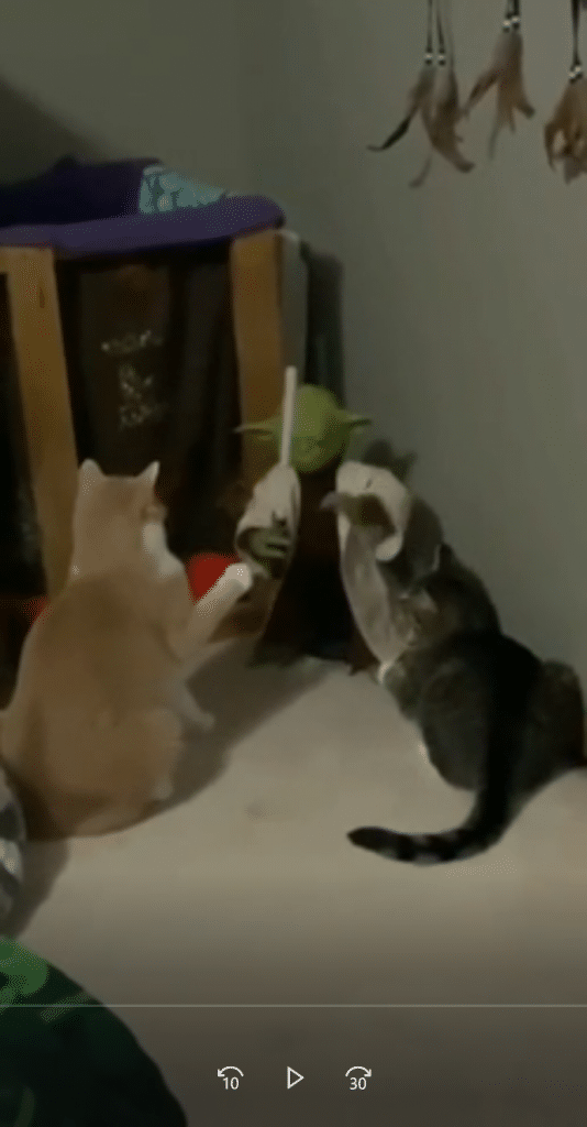 Yoda vs chats
