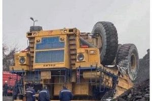 Généralement, quand il se met comme ça, faut lui gratouiller le ventre …