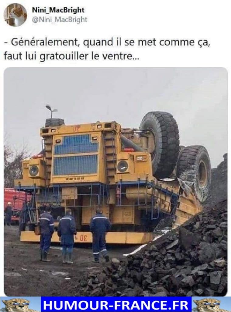 Généralement, quand il se met comme ça, faut lui gratouiller le ventre …