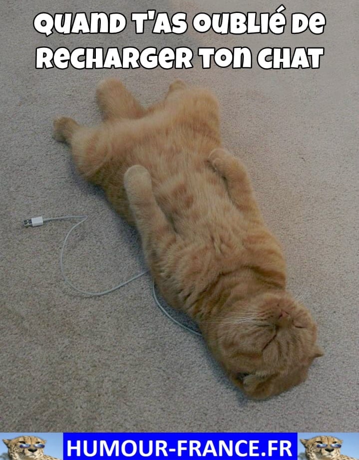 Quand t'as oublié de recharger ton chat.