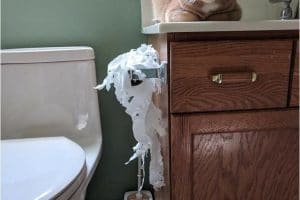 Quand tu te lèves le matin …