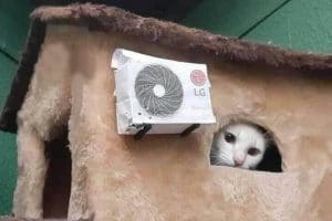 J'ai installé la clim !