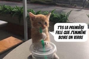 T'es la première fille que j'emmène boire un verre.