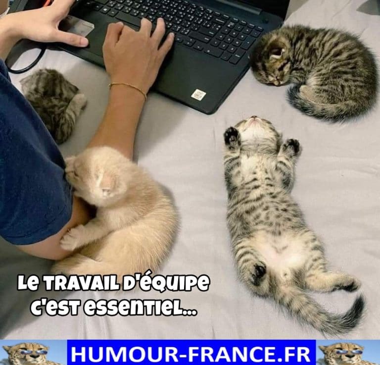 Le travail d'équipe c'est essentiel … - Humour-France.fr