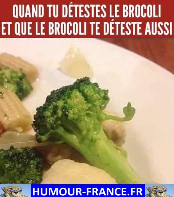 Quand tu détestes le brocoli et que le brocoli te déteste aussi.