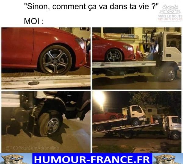 Sinon, comment ça va dans ta vie ? - Humour-France.fr