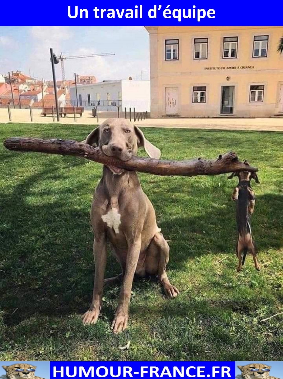 Un travail d’équipe. - Humour-France.fr