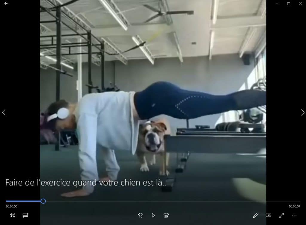 Faire de l'exercice quand votre chien est là..