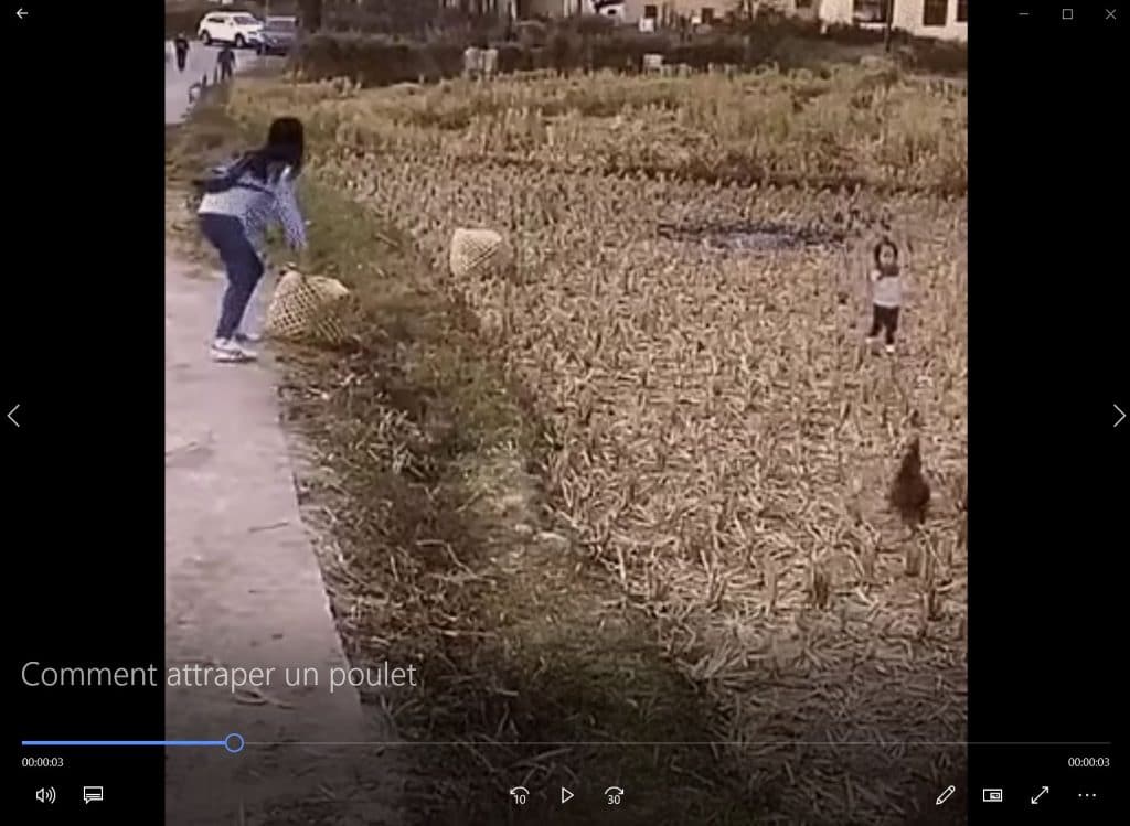 Comment attraper un poulet.