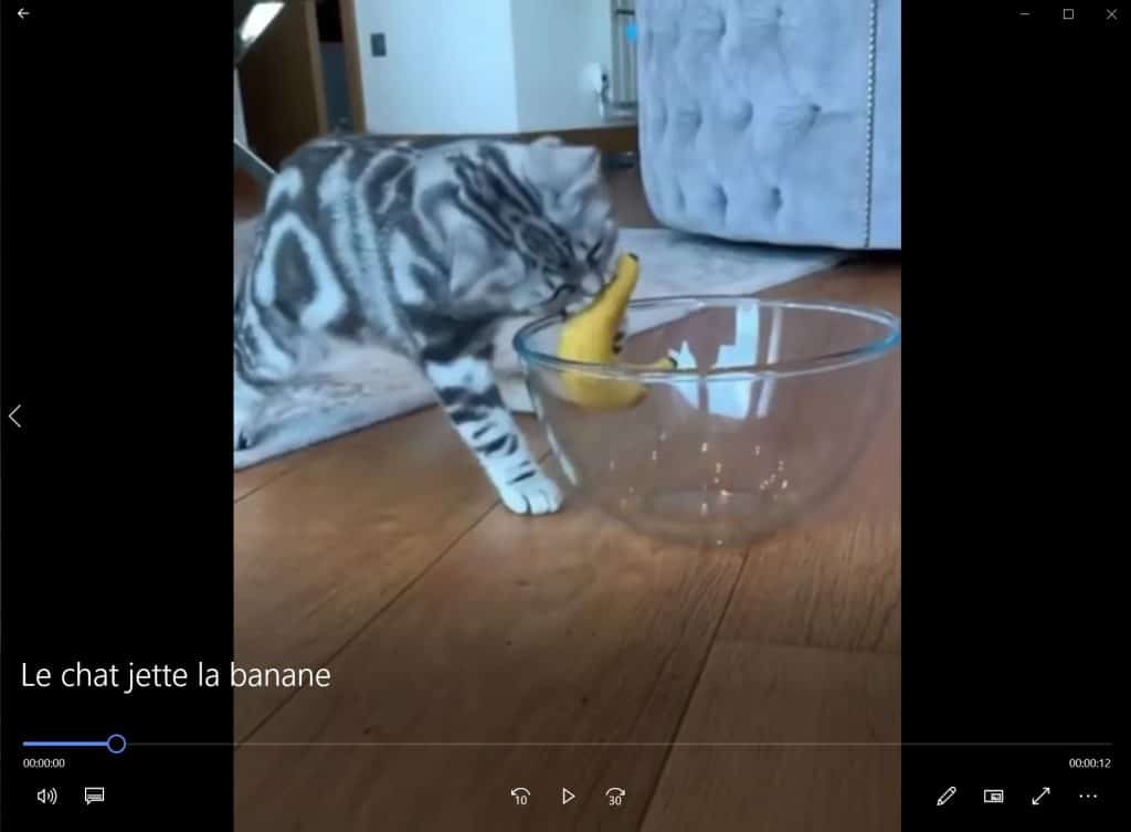 Le chat jette la banane.