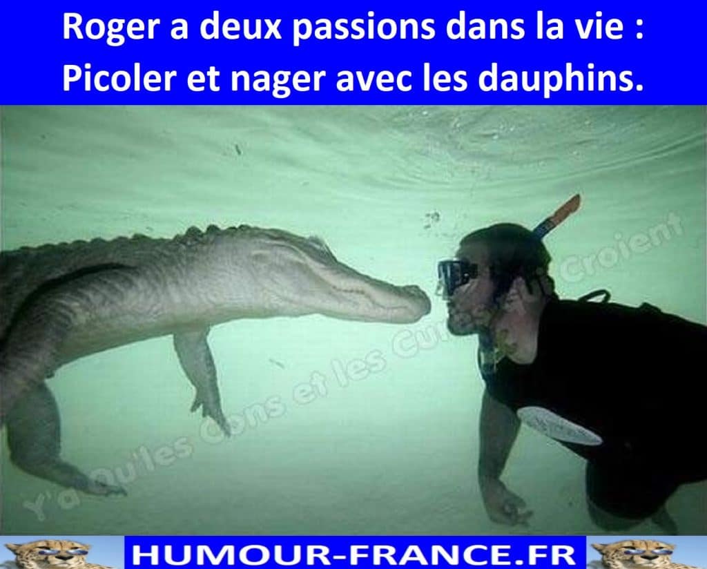 Roger a deux passions dans la vie : Picoler et nager avec les dauphins.