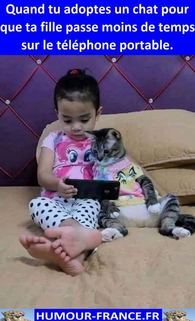 Quand tu adoptes un chat pour que ta fille passe moins de temps sur le téléphone portable.