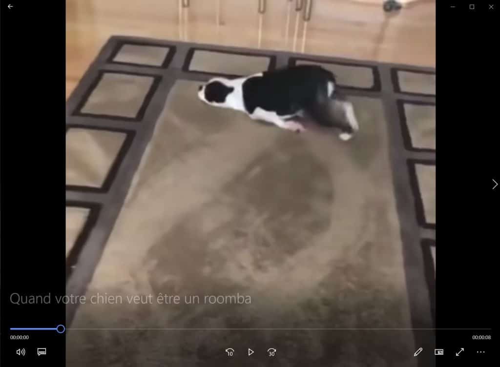 Quand votre chien veut être un Roomba.