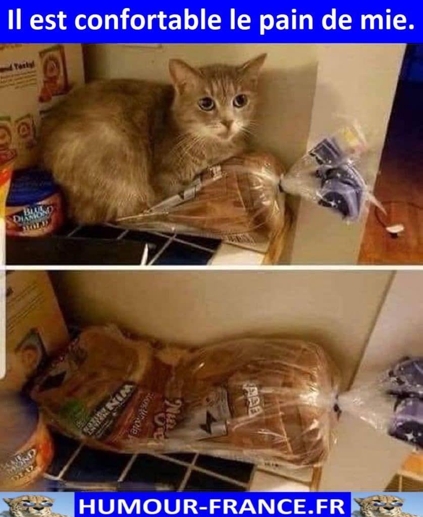 Il est confortable le pain de mie.