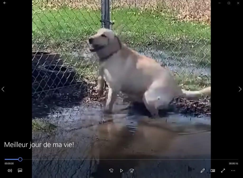 Meilleur jour de ma vie !