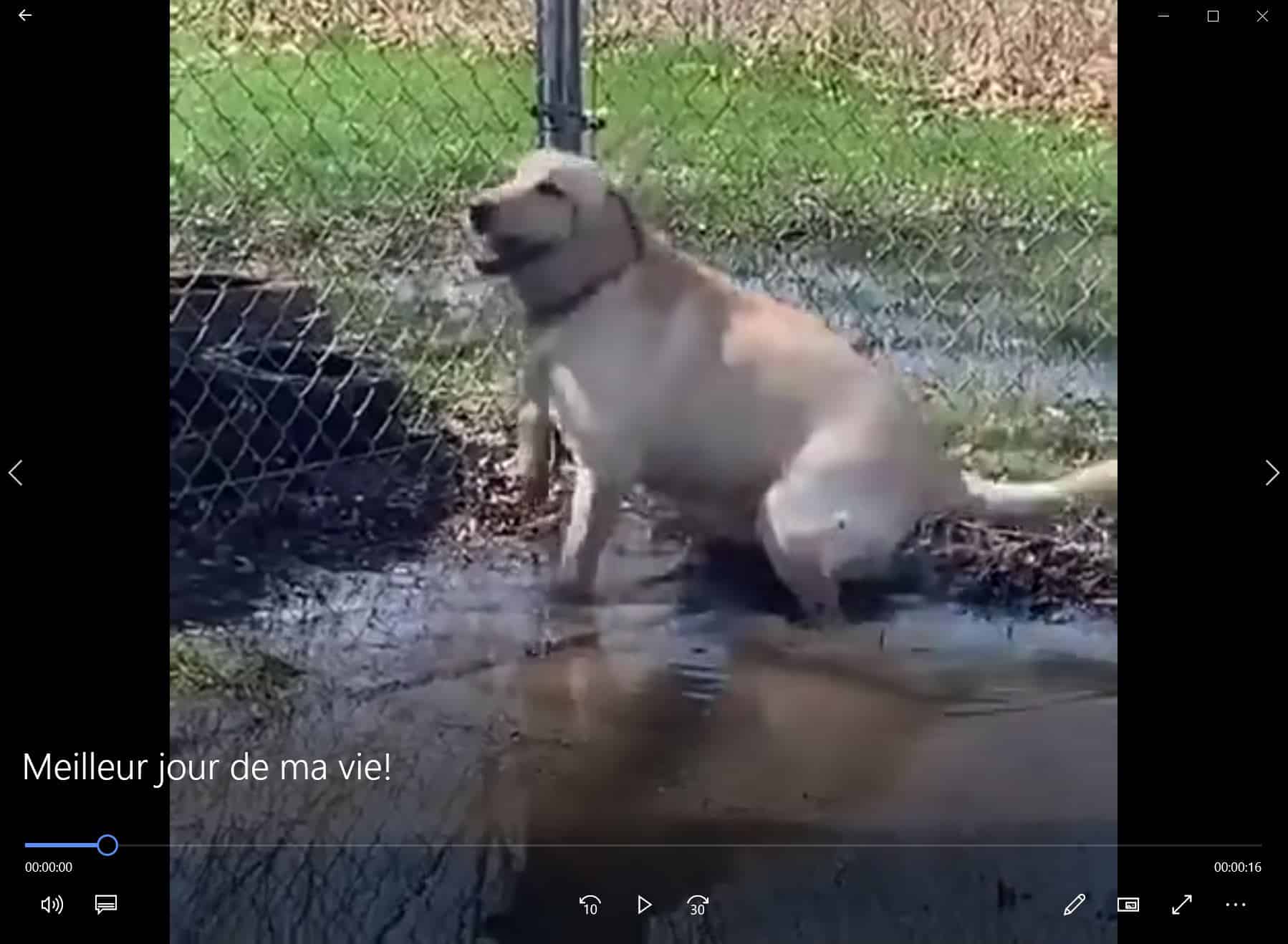 Meilleur jour de ma vie ! - Humour-France.fr
