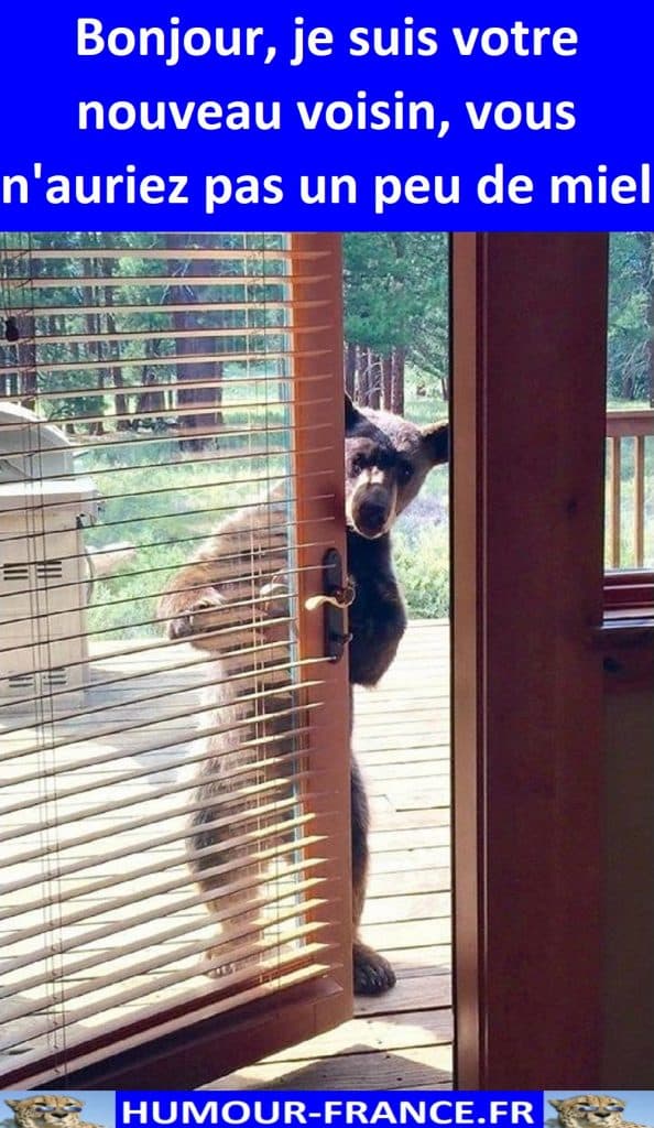 Bonjour, je suis votre nouveau voisin, vous n'auriez pas un peu de miel.