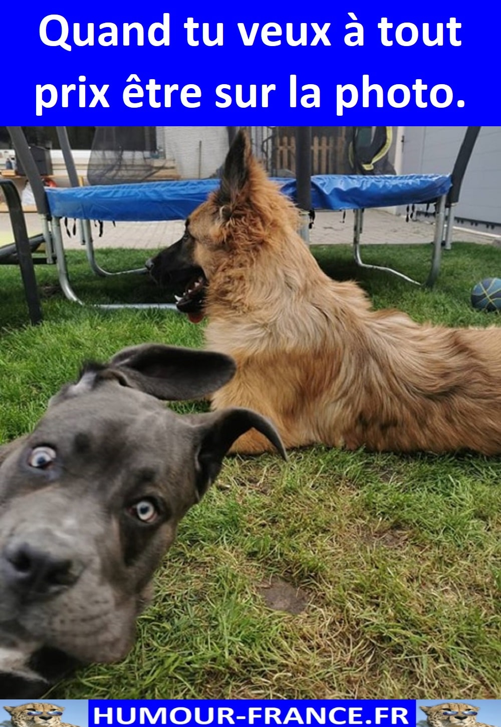 Quand tu veux à tout prix être sur la photo. HumourFrance.fr
