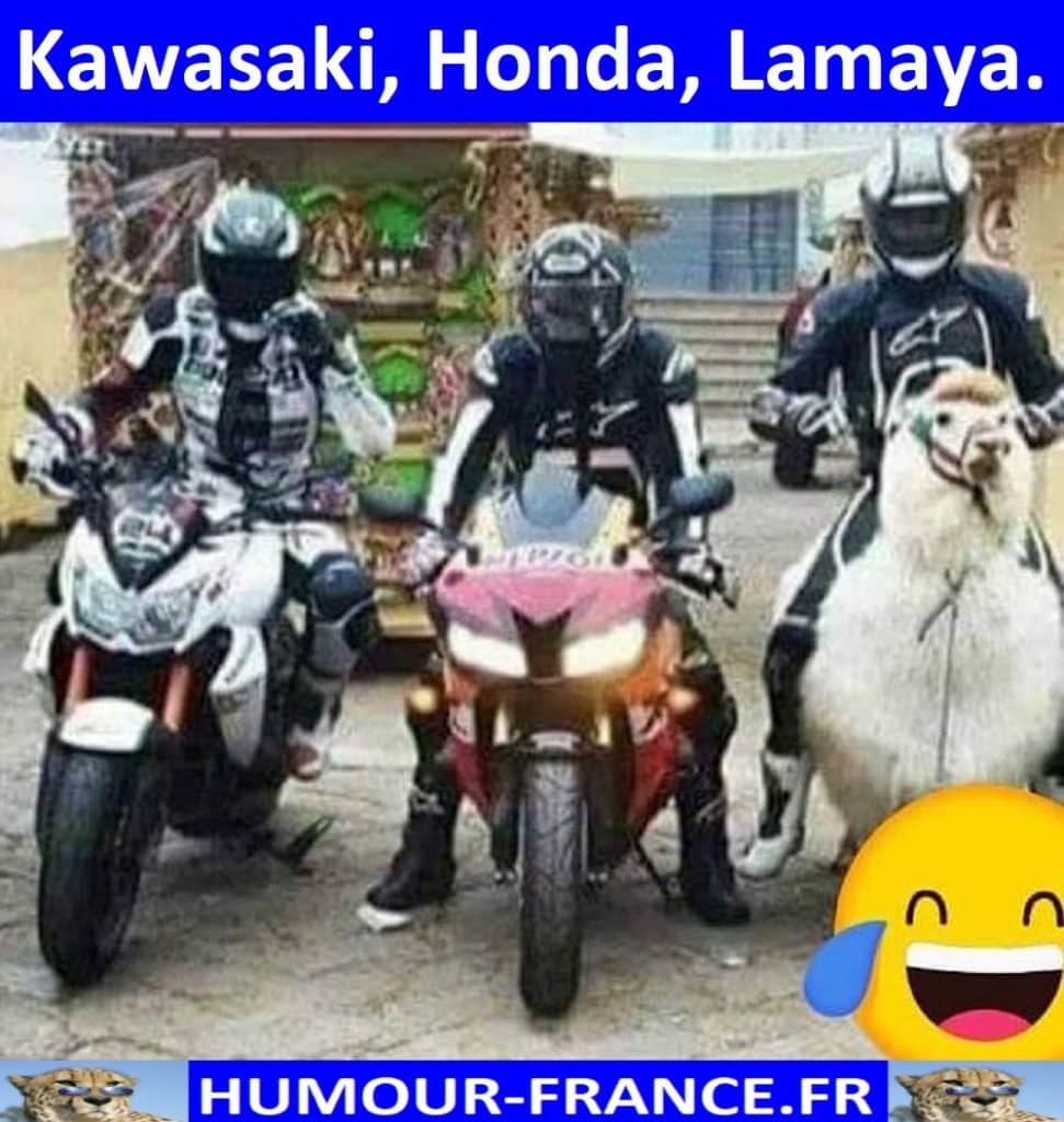 Kawasaki, Honda, Lamaya.