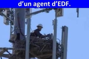Image rare de la naissance d’un agent d’EDF.