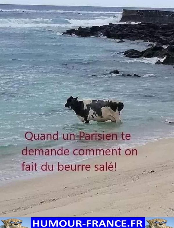 Demand Humour Quand un Parisien te demande comment on fait du beurre salé