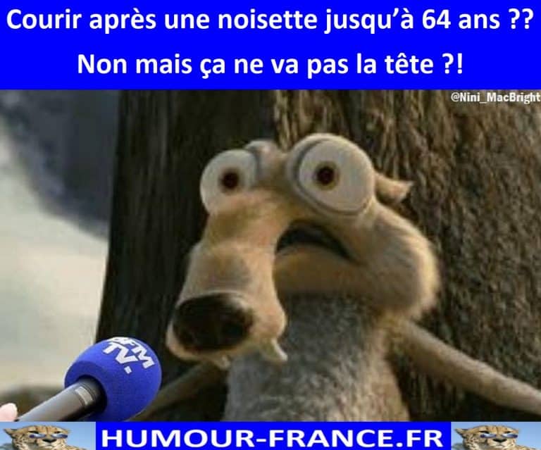 Courir Apr s Une Noisette Jusqu 64 Ans Humour France fr