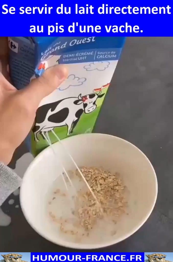 Se servir du lait directement au pis d'une vache.