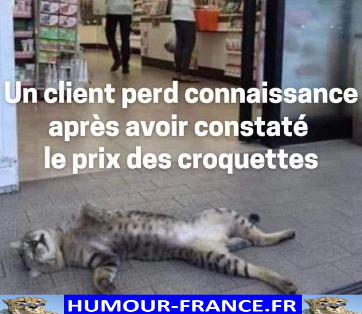 Un client perd connaissance après avoir constaté le prix des