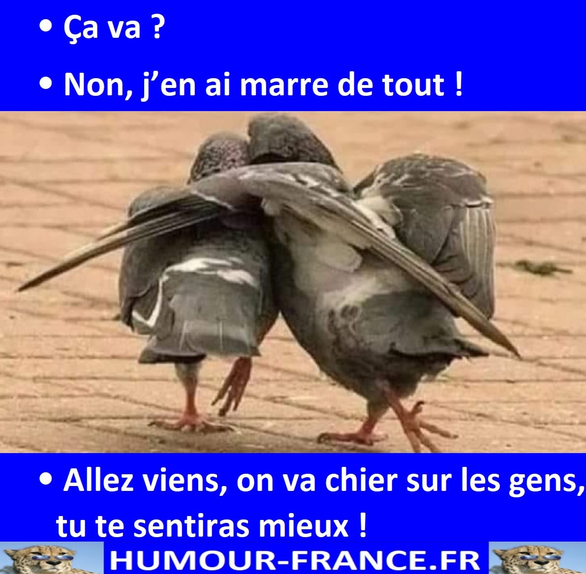 Ça va Non, j’en ai marre de tout ! HumourFrance.fr