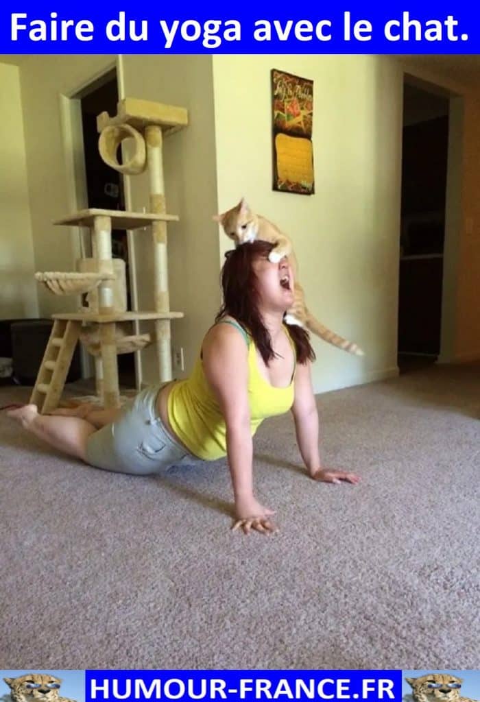 Faire du yoga avec le chat.