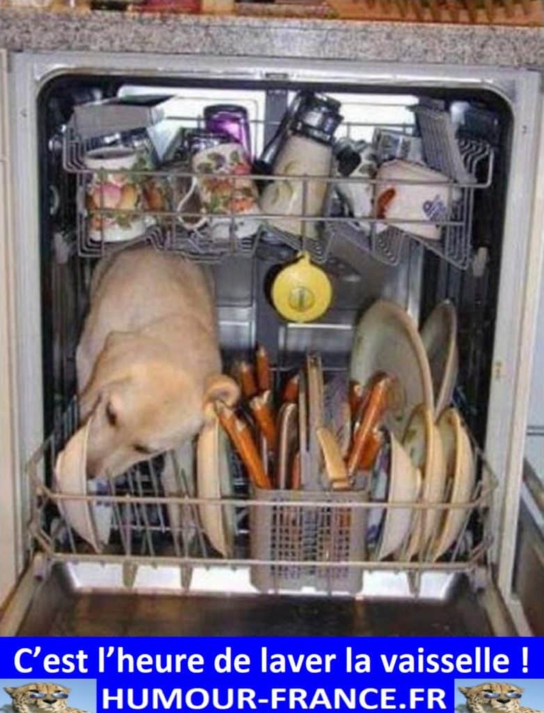 C’est l’heure de laver la vaisselle !