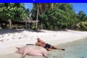 Il réalise son rêve ; il part en vacances avec une grosse cochonne …