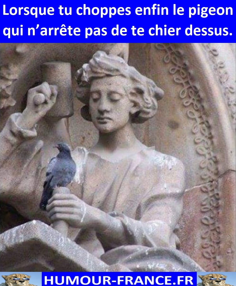Lorsque tu choppes enfin le pigeon qui n’arrête pas de te chier