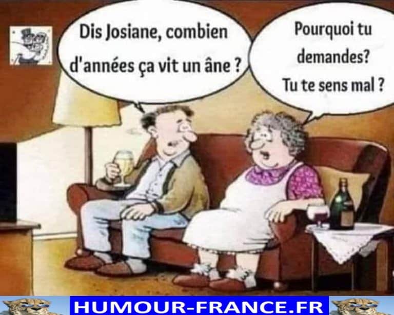 Dis Josiane, combien d’années ça vit un âne ? - Humour-France.fr