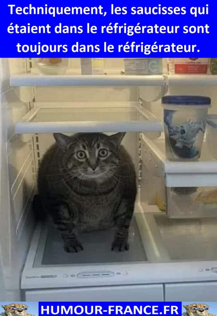 Techniquement, les saucisses qui étaient dans le réfrigérateur sont toujours dans le réfrigérateur.