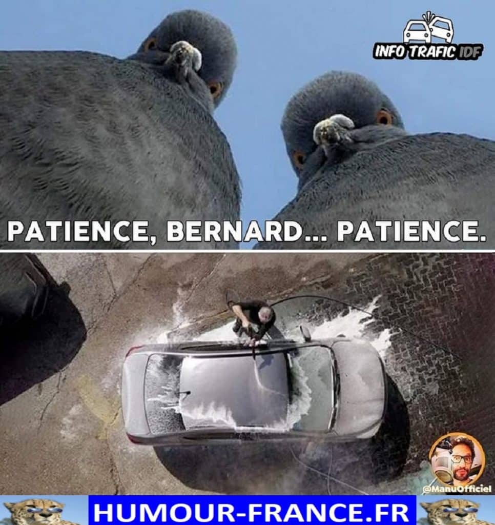 Patience, Bernard … Patience.