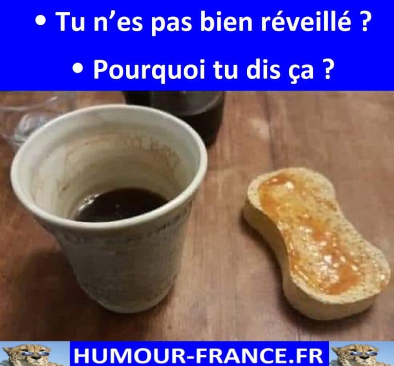 Tu n’es pas bien réveillé ? - Humour-France.fr